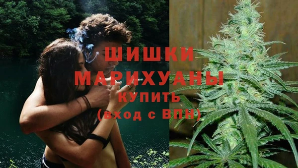 твердый Щигры