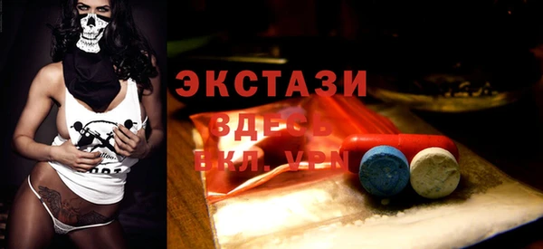 твердый Щигры