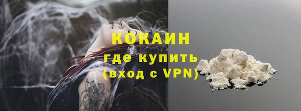 твердый Щигры