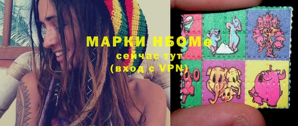 твердый Щигры