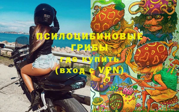 соль курить ск Щёлкино