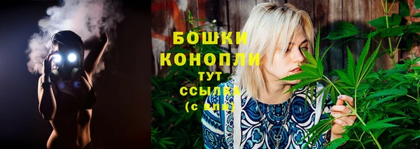 твердый Щигры